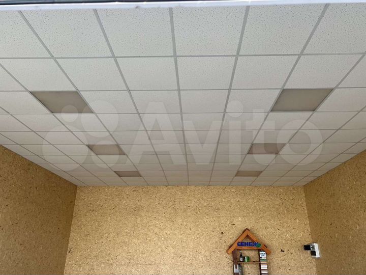 Свободного назначения, 55 м²