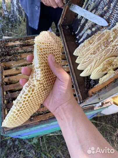 Башкирский мёд