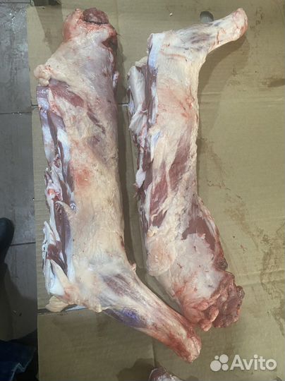 Куры мяса Домашные