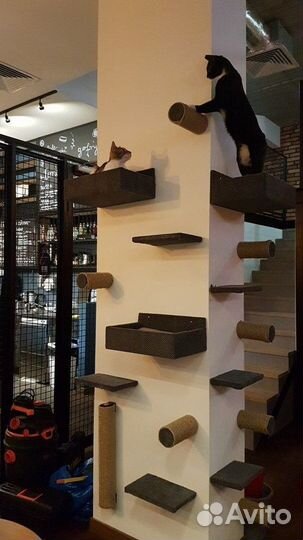 Домик для кошек