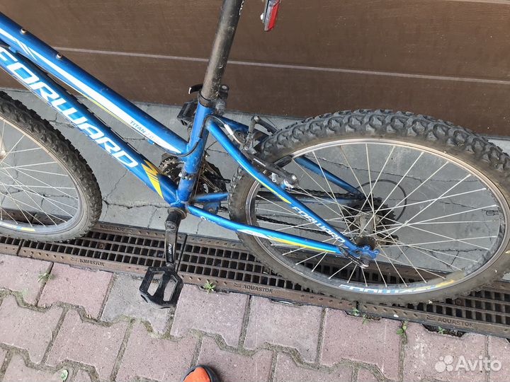 Мтв Forward titan 2.0 low