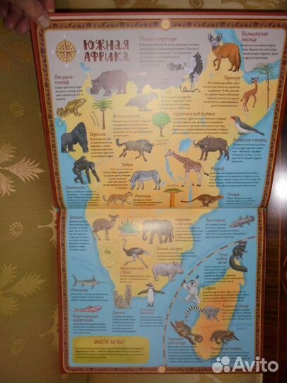 Атлас животных и растений мира 28х34 см Речь 2022