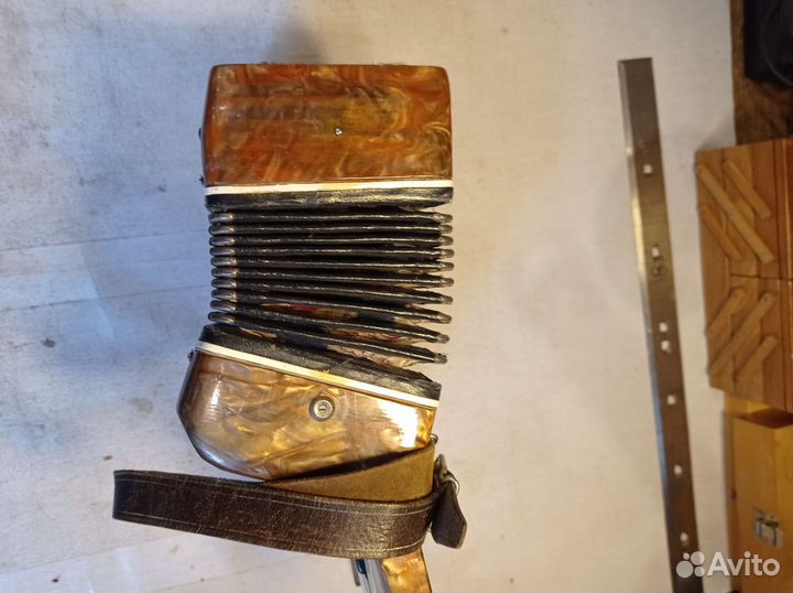 Аккордеон детский