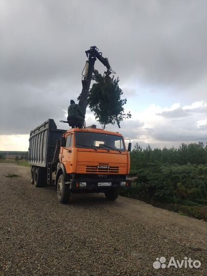 Хапуга вывоз мусора