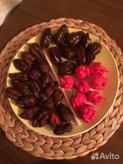 Семена супер острого перца Хабанеро Шоколад и др