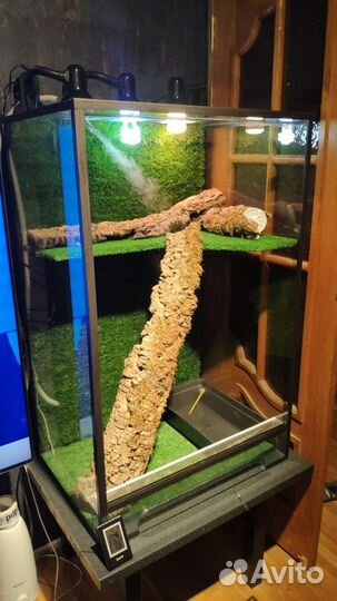 Террариум для рептилий