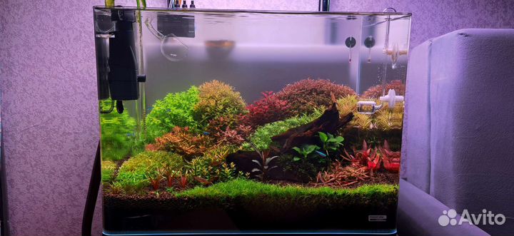 Аквариум в комплекте