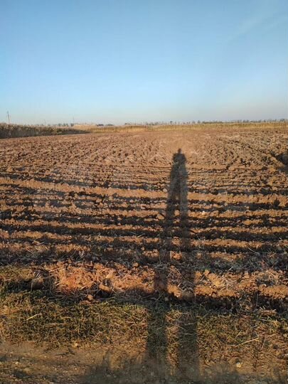 Участок 30 сот. (ИЖС)