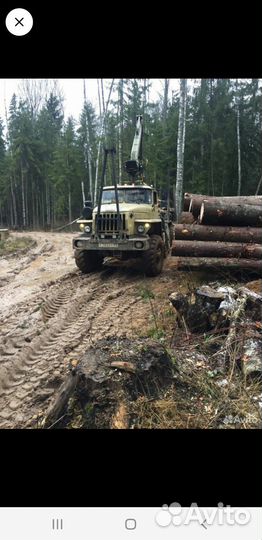 Услуги лесовоза