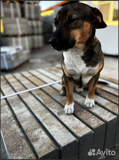 Плитка тротуарная