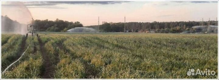 Инвестиции для развития бизнеса