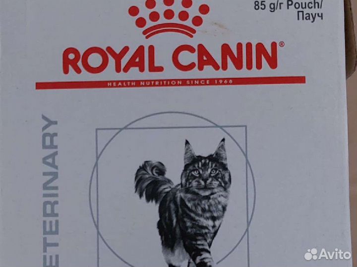 Влажный корм для кошек royal canin
