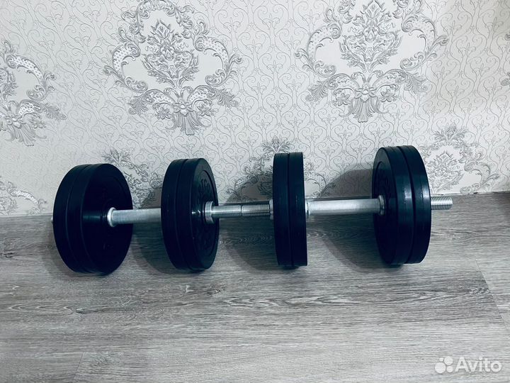 Гантели разборные 44 кг