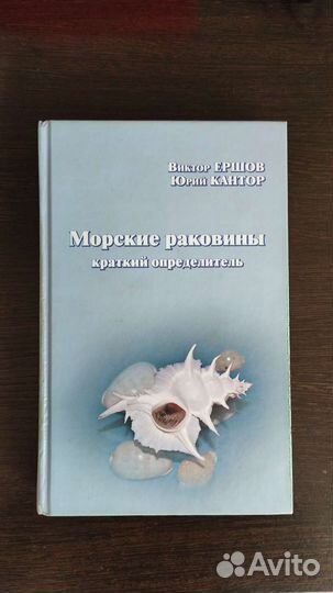 Морские раковины 