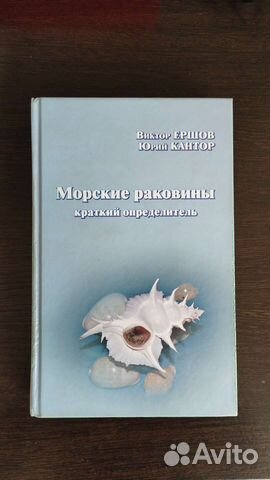 Морские раковины 