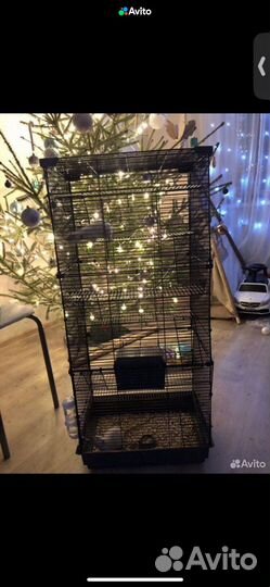 Клетки для грызунов крыс