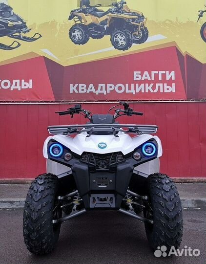 Квадроцикл promax renegade 300