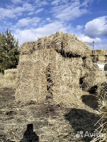 Солома для мульчирования