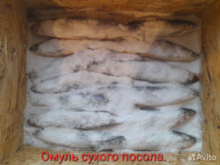 Свежая рыба