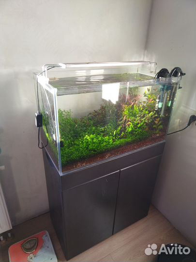 Аквариум