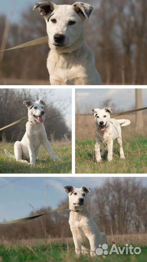 Малыши карандаши 5 мес в добрую семью