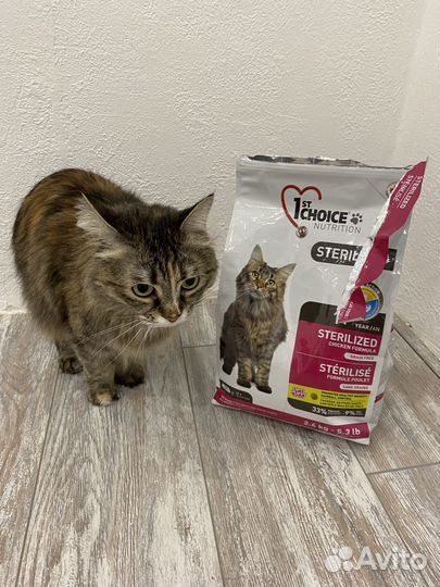 Корм для кошек 1st choice