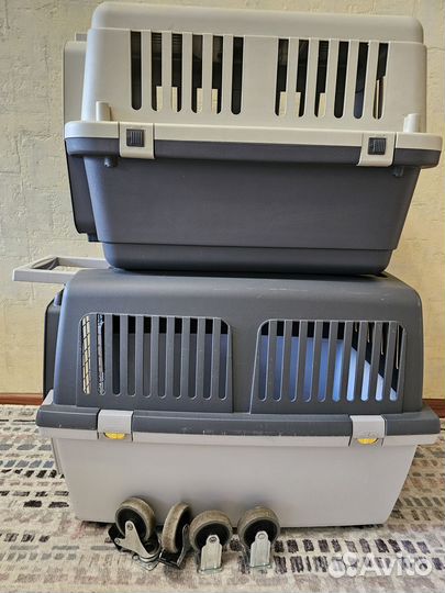 Переноска для собак пластиковая