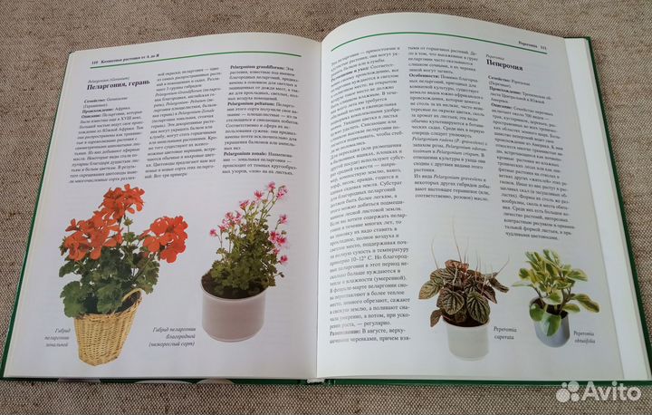 Подарочные альбомы и книги