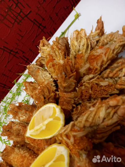 Креветка Медвежонок (шипастый шримс)