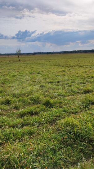 Участок 12 сот. (ИЖС)