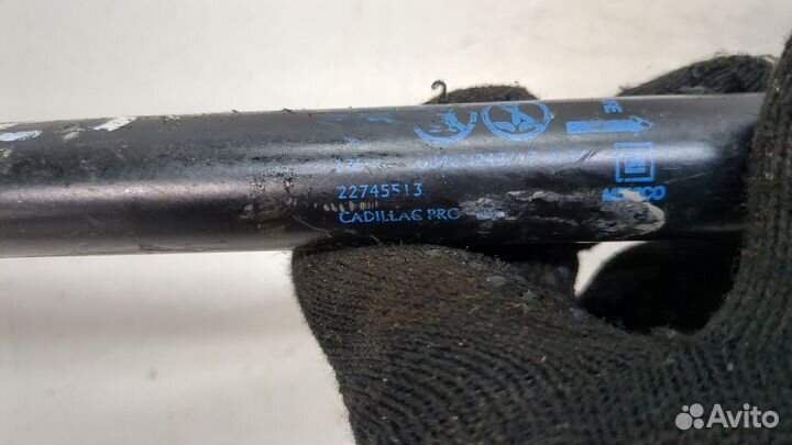 Амортизатор крышки багажника Cadillac SRX, 2010
