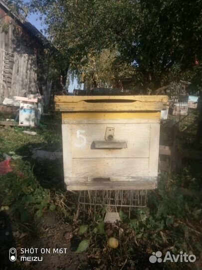 Ульи. рамки дадан