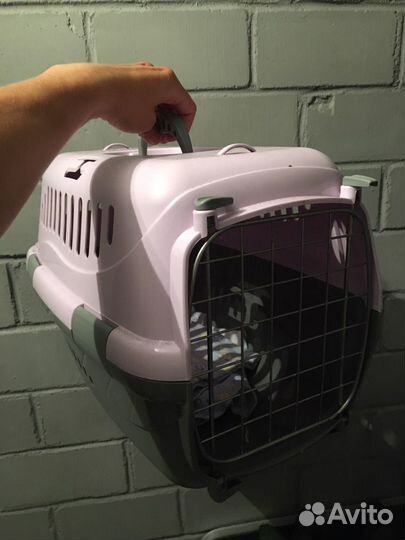 Переноска для кошек/ собак/ животных (аренда)