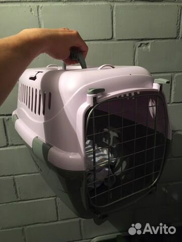 Переноска для кошек/ собак/ животных (аренда)