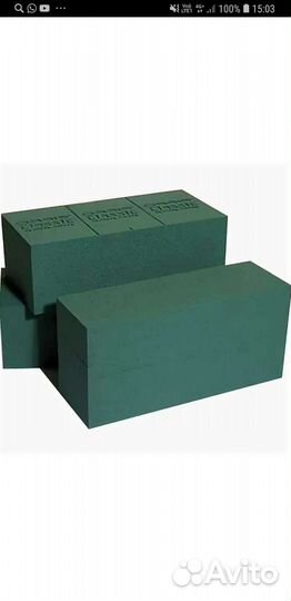 Оазис флорестический