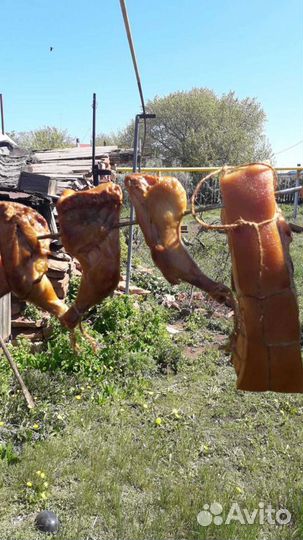 В/в генератор электростатика для коптильни