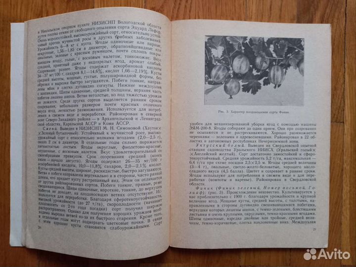 Книги по выращиванию крыжовника