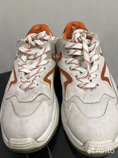 Кроссовки женские Ash