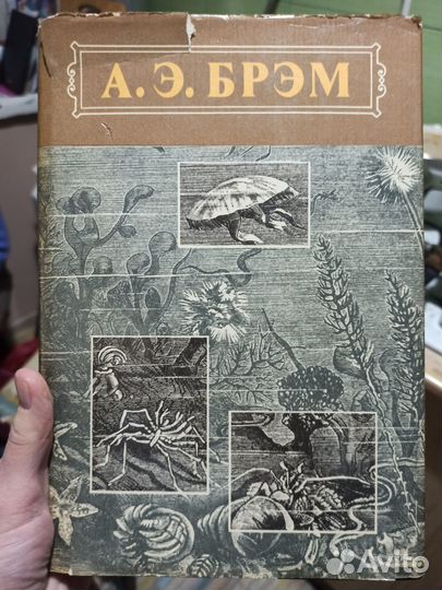 Жизнь животных. А.Э.Брем