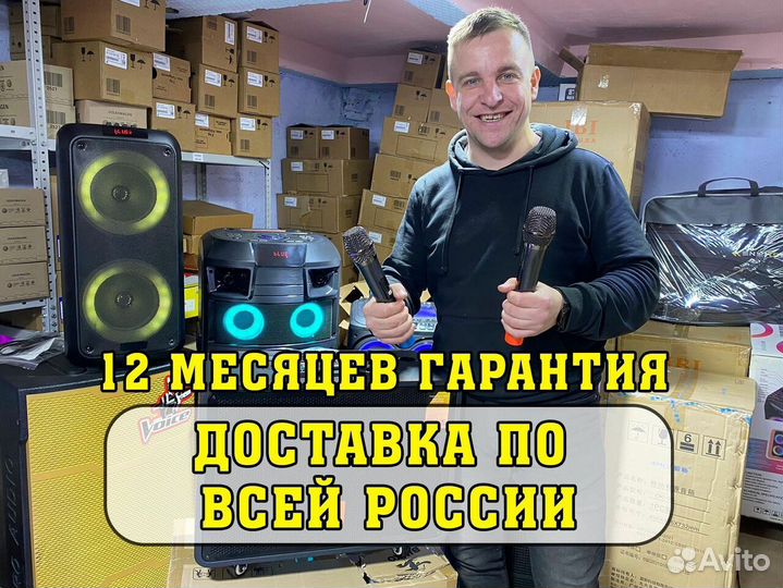 Колонка Binko P1200W c микрофоном и караоке