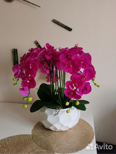 Орхидея декоративная