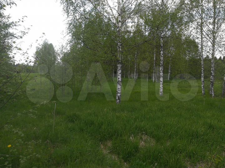 Участок 12 сот. (СНТ, ДНП)