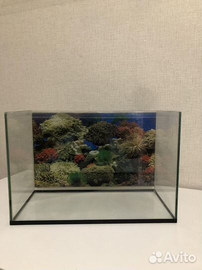 Аквариум с аксессуарами