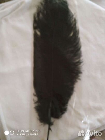 Перо страуса цвета разные