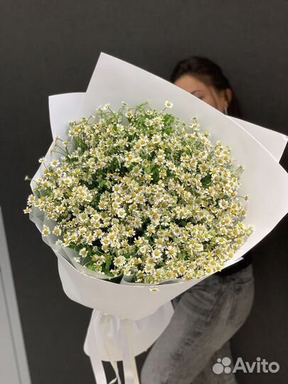 Ромашки с доставкой