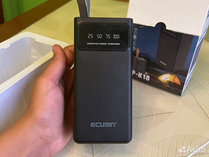 Повербанк ecusin 60000