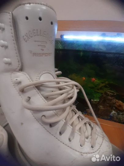 Фигурные коньки risport