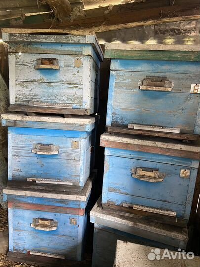 Пчелиные ульи б/у