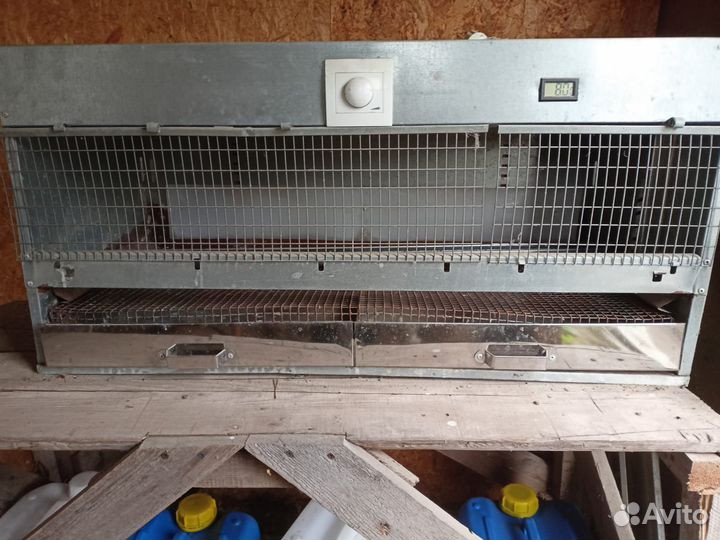 Клетки для несушек