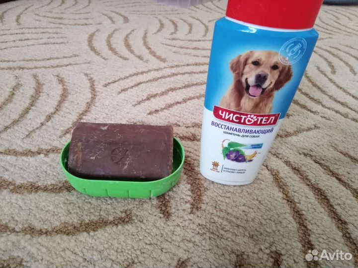 Шампунь для собак бесплатно